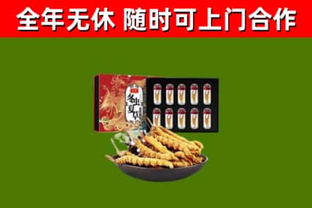 金门县回收冬虫夏草价格